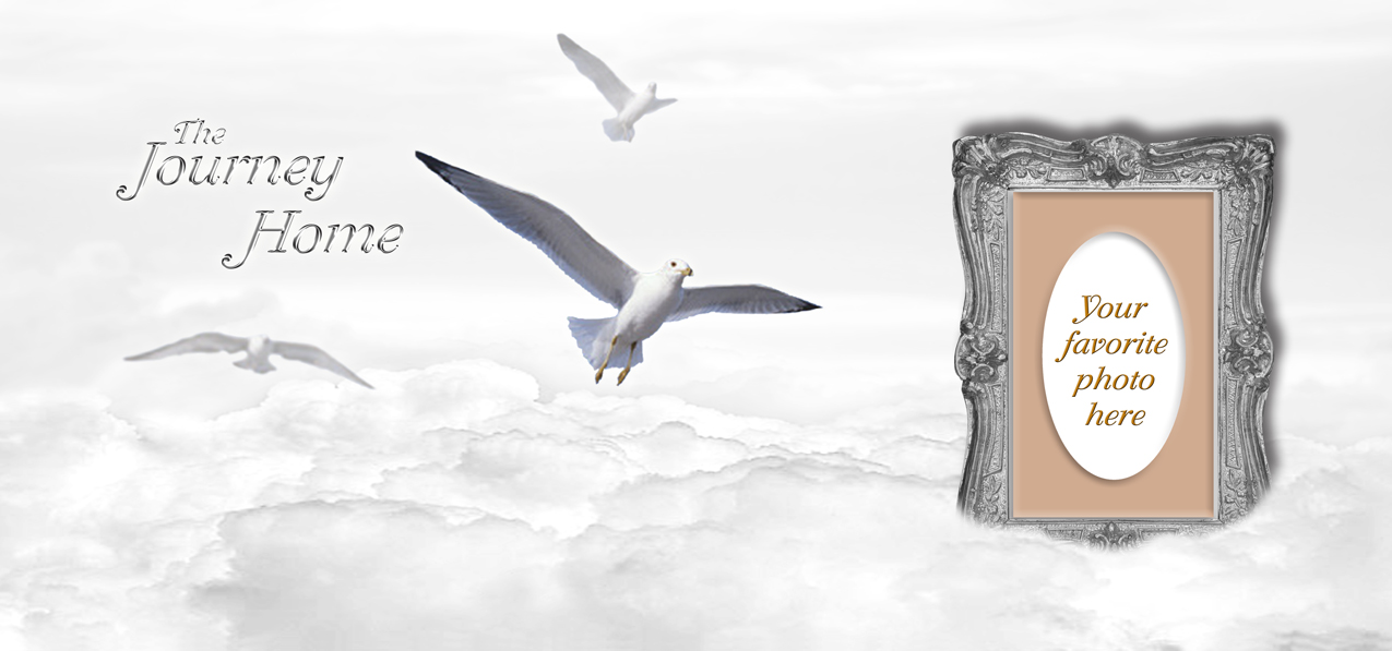 Journey Home Clouds Birds White-Silver